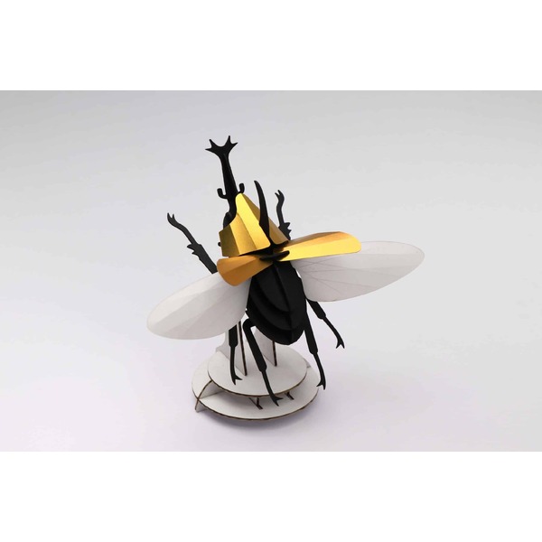 Assembli 3D Insect Rhinoceros Beetle