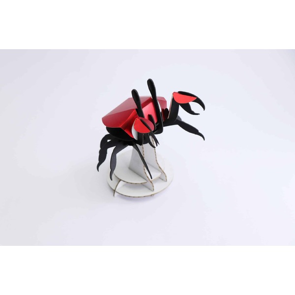 Assembli 3D Beach Crab