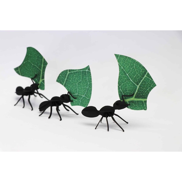 Assembli 3D Insect Three Leafcutter Ants