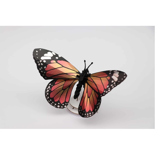 Assembli 3D Insect Monarch Butterfly