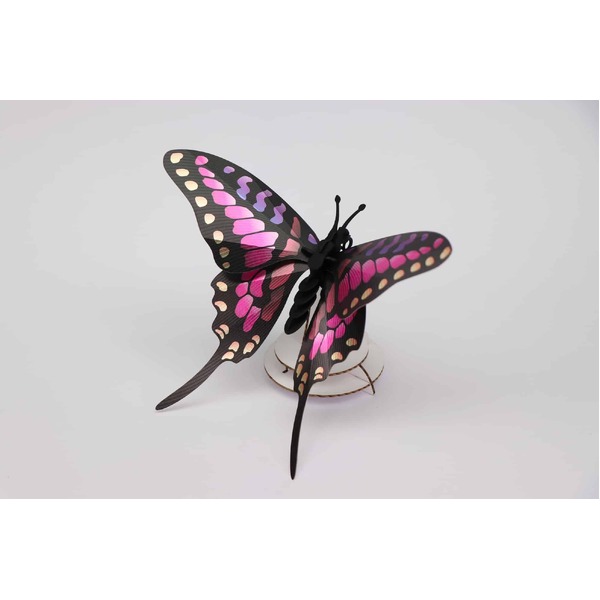 Assembli 3D Insect Common Swordtail Butterfly