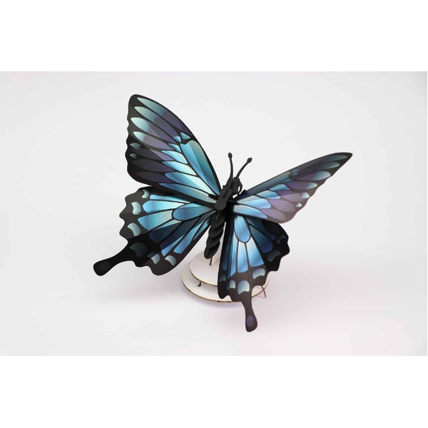 Assembli 3D Insect Blue Mountain Butterfly