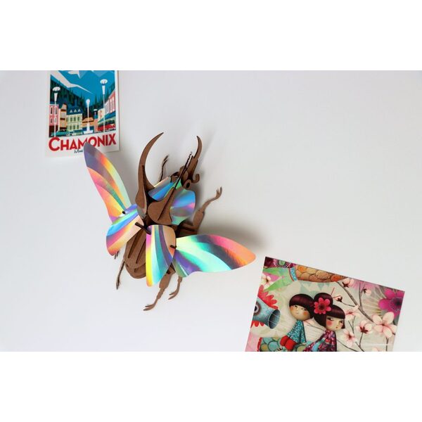 Assembli 3D Insect Atlas Beetle Kit Rainbow Mirror