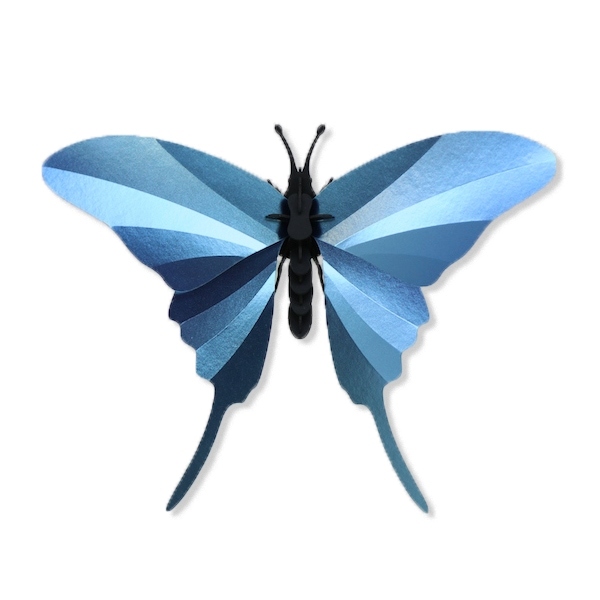 Assembli 3D Insect Swordtail Butterfly Azure Blue
