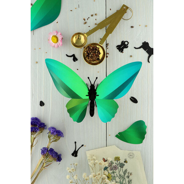 Assembli 3D Insect Birdwing Butterfly Glossy Caribbean Green