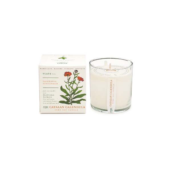 Kobo Plant the Box Candle Catalan Calendula
