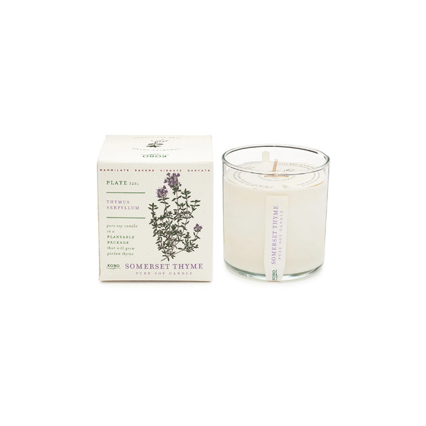 Kobo Plant The Box Candle Somerset Thyme