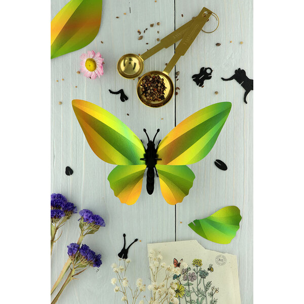 Assembli 3D Insect Birdwing Butterfly Mango Green Metallic
