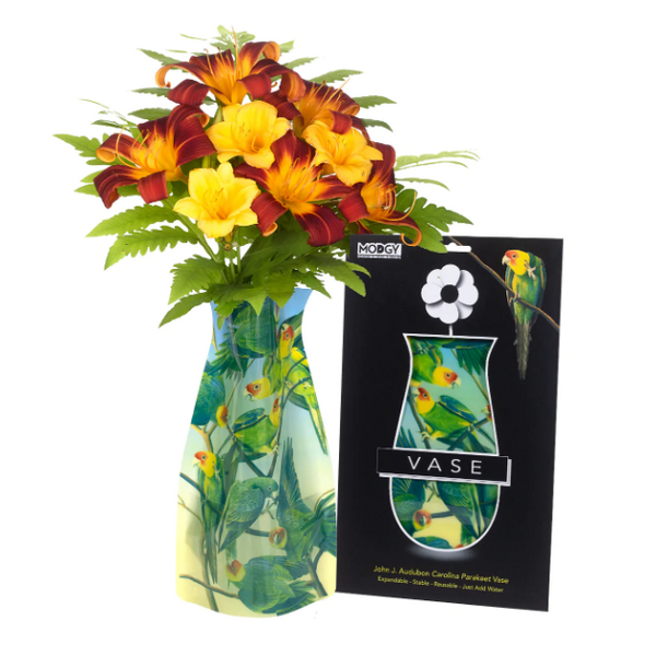 Modgy Expandable Flower Vase Audubon Carolina Parakeet