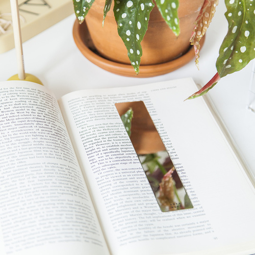 Areaware Mirror Bookmark