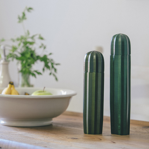 DOIY Cacti Salt & Pepper Mill Set of 2