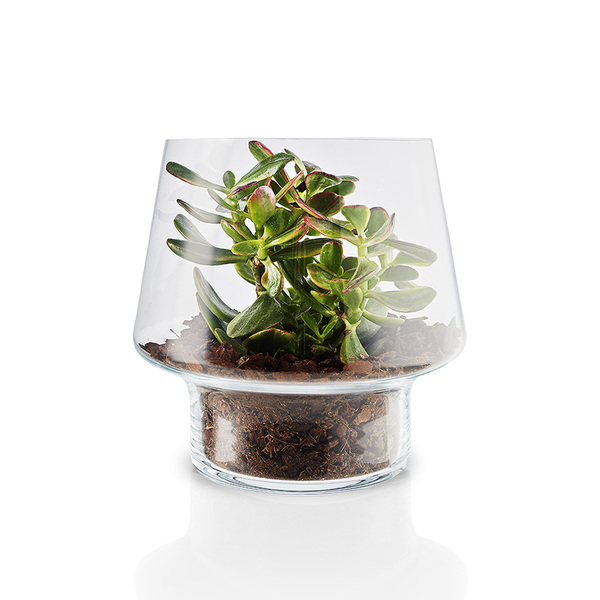 Eva Solo Succulent Glass Vase 20cm