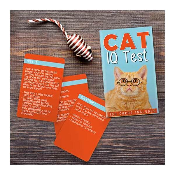 Cat IQ Test