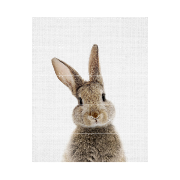 IXXI Rabbit (Double Sided) 80cm x 100cm