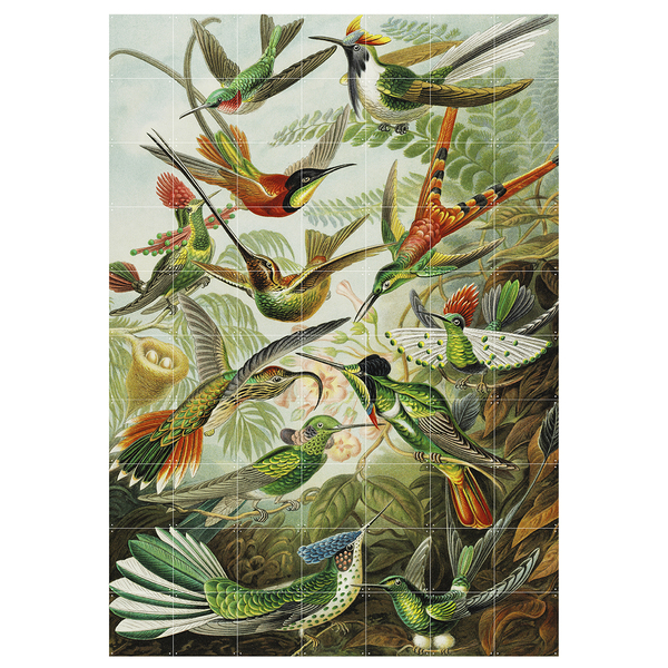 IXXI Hummingbirds Wall Art
