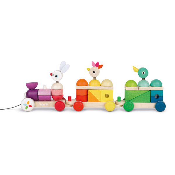 Janod Giant Multicolour Train ( wood )