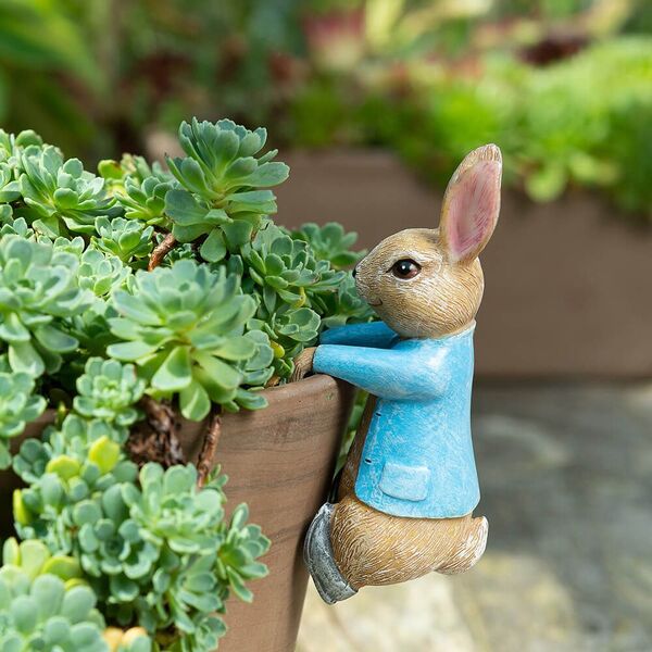 Pot Buddies Peter Rabbit Hanging On the Pot