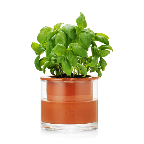 MOMA Wetpot S