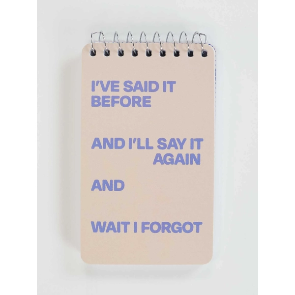 Blue Q Notebook - Said It Before 